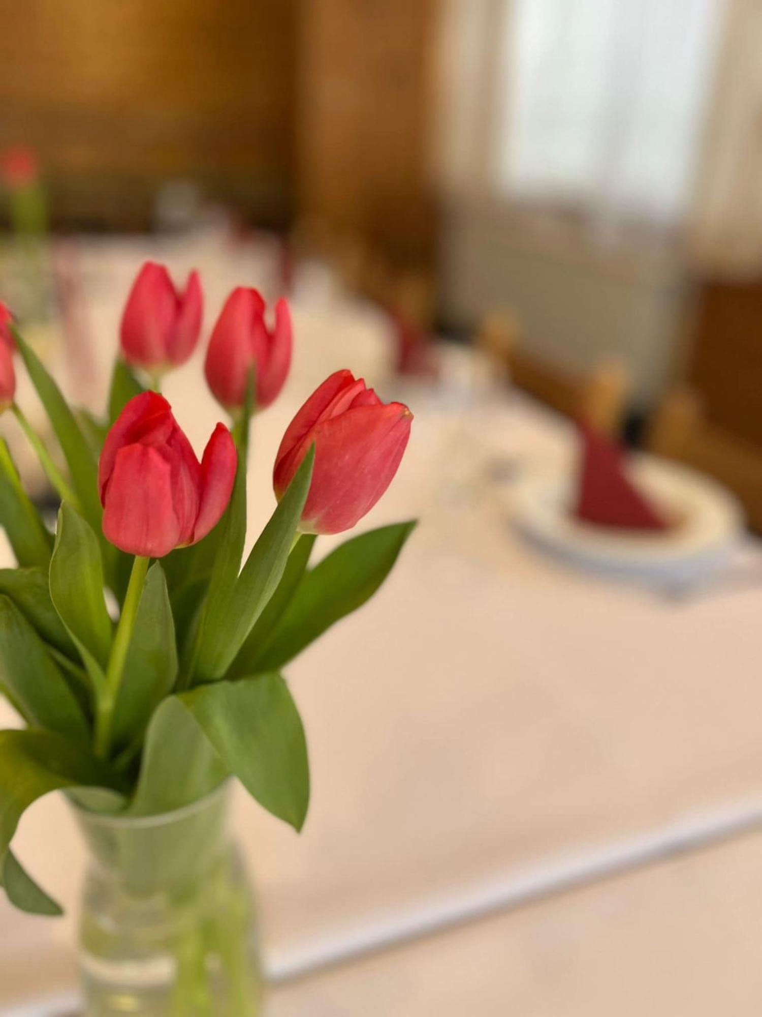 Hotel U Kociana Trojanovice Buitenkant foto